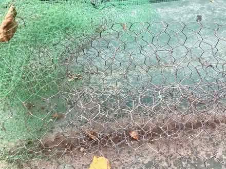 Photo of free Chicken wire. Varied sizes used (selsey) #2