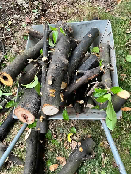 Photo of free Wood for log burner (Hartford) #3