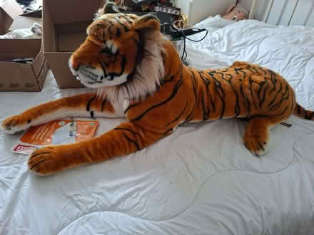 Photo of free Large toy tiger (Tuckswood NR4) #2