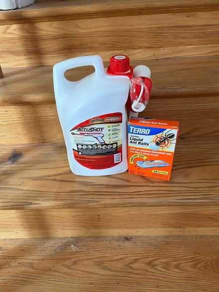 Photo of free Ant Spray/ ant baits (Upper NW DC) #1