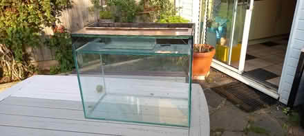 Photo of free Fish tank (Highworth SN6) #4