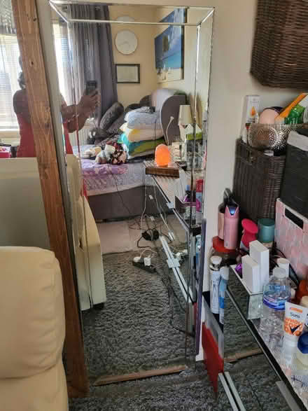 Photo of free Mirror (Figges Marsh CR4) #2