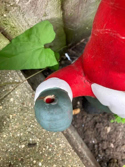 Photo of free Pair of garden gnomes (Hampton Hill) #2