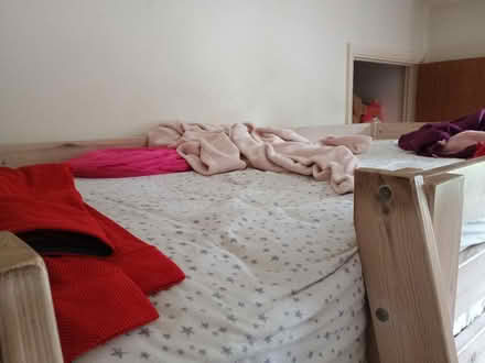 Photo of free Pine Loft Bed (CT2) #3