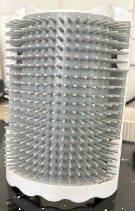 Photo of free Cat corner wall brush (Cosham PO6) #1