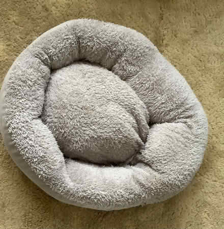 Photo of free Pet Bed (Widmore BR2) #1