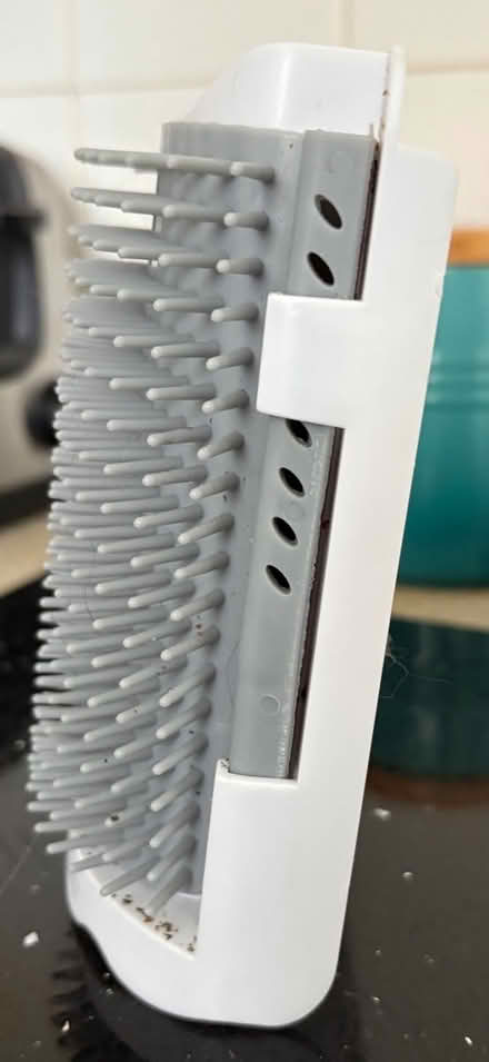 Photo of free Cat corner wall brush (Cosham PO6) #2