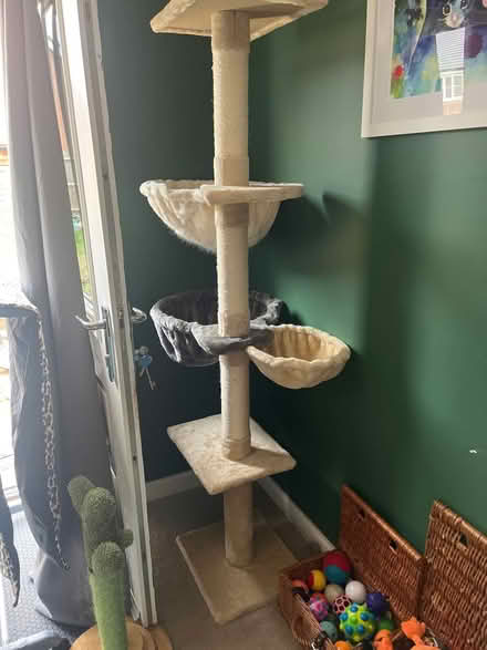 Photo of free Cat tree (RG2 Shinfield) #2