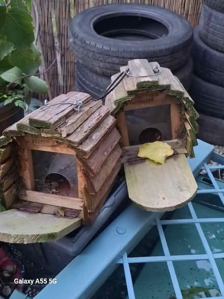 Photo of free Squirrel or bird house (Westgate LA4) #1