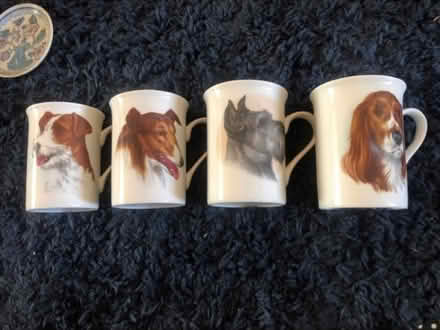 Photo of free Lovely Bone China Cups x 4 (Cheshunt En8) #1