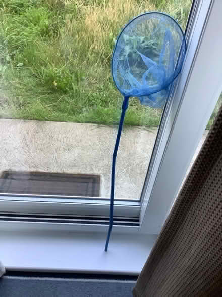 Photo of free Blue Medium Fishing Net (Cottingham HU16) #1