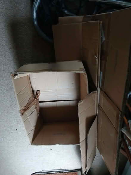 Photo of free Moving boxes (West Hill TN34) #1