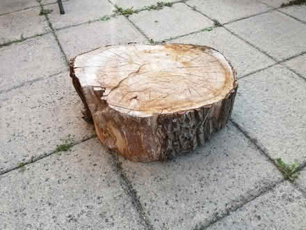 Photo of free Wooden Round (Kiveton Park, S26) #2