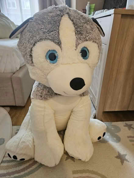 Photo of free Jumbo stuffed toy (Hendon NW4) #1