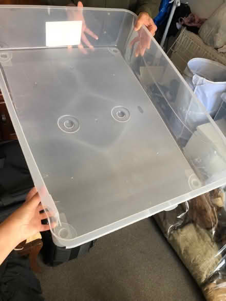 Photo of free Under bed plastic storage box (N8 0LD) #1