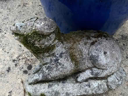 Photo of free Garden ornaments (Bussage GL6) #4