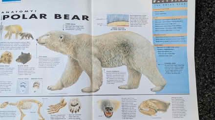 Photo of free Animal World magazines (Farnham, GU9) #3
