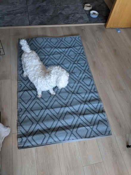 Photo of free Outdoor reversible mat (EH5, Granton, Edinburgh) #3