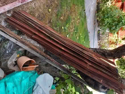 Photo of free firewood (Oxford OX4) #1