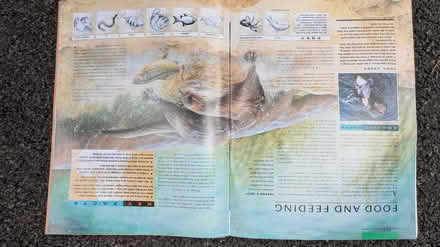 Photo of free Animal World magazines (Farnham, GU9) #4