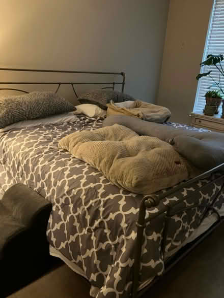Photo of free King size bed frame (only frame) (Rockville) #1