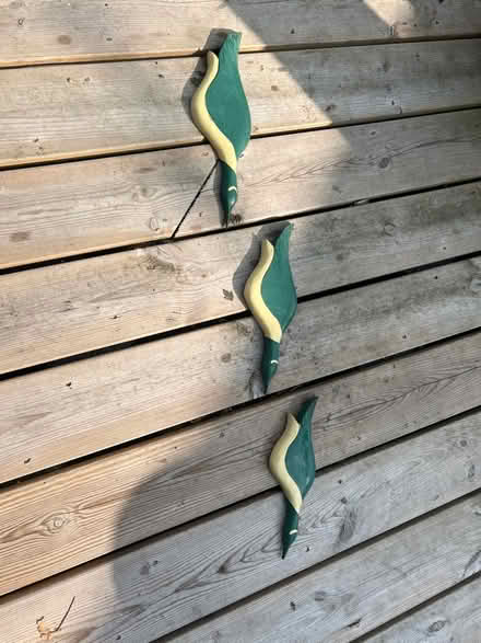 Photo of free Flying ducks. Novelty (Shoreham-by-sea) #1