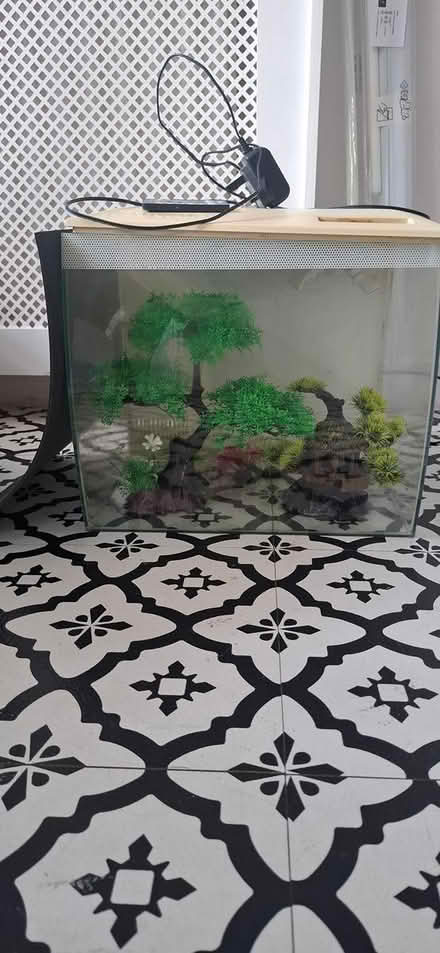 Photo of free Two fish Tanks (Abbey Wood - SE2) #1