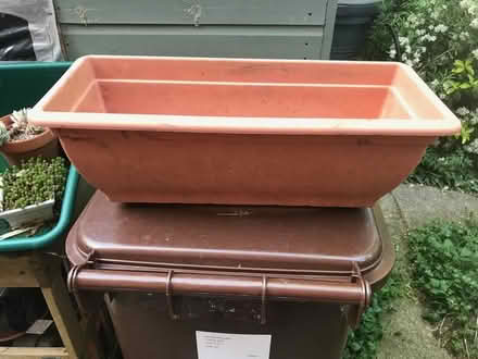 Photo of free Plant trough (Cholsey, OX10) #2