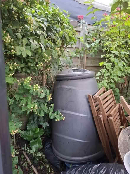 Photo of free Compost bin (Lonesome SW16) #1