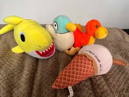 Photo of free Teddies looking for a new home (Temple Sowerby CA10) #1