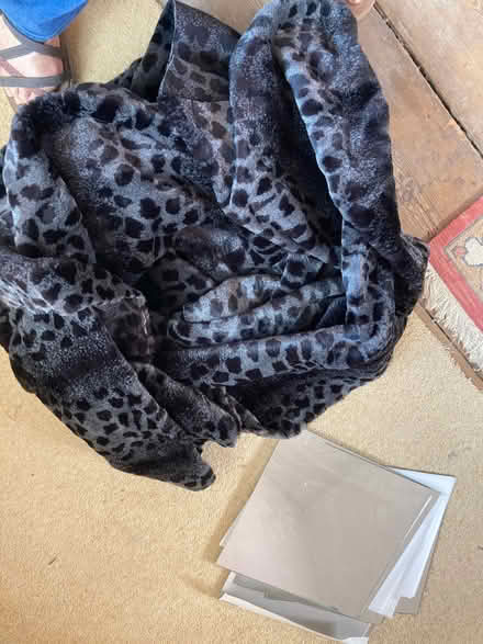 Photo of free Fur fabric, approx 6’ sq (IP4) #2