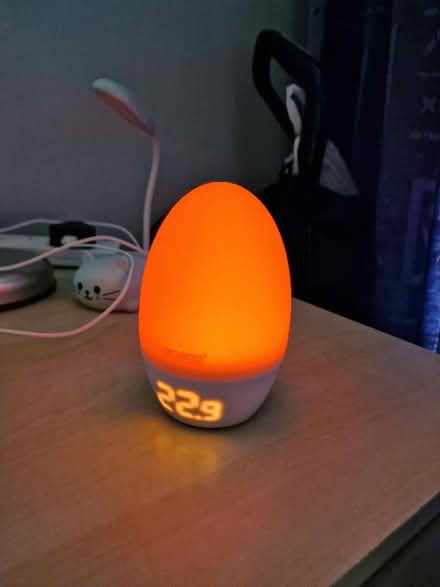 Photo of free Gro egg (WA2) #1