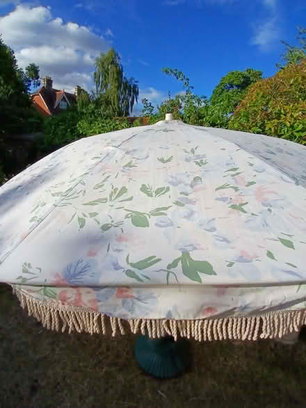 Photo of free Parasol (University Area RG1) #4