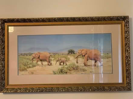 Photo of free Elephant picture (Preston, PR3) #1