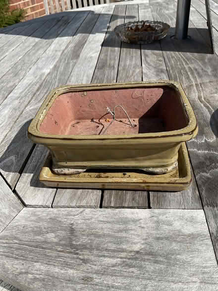 Photo of free Bonsai pots and drip trays (Frant TN3) #2