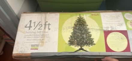 Photo of free tree (Belleville) #2