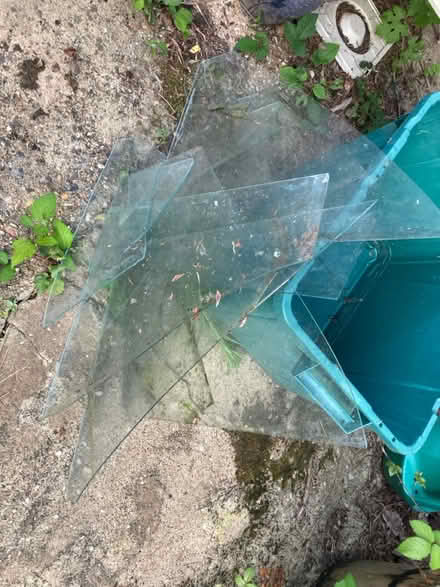 Photo of free Greenhouse glass (broken) (Wallington SM6 9) #2