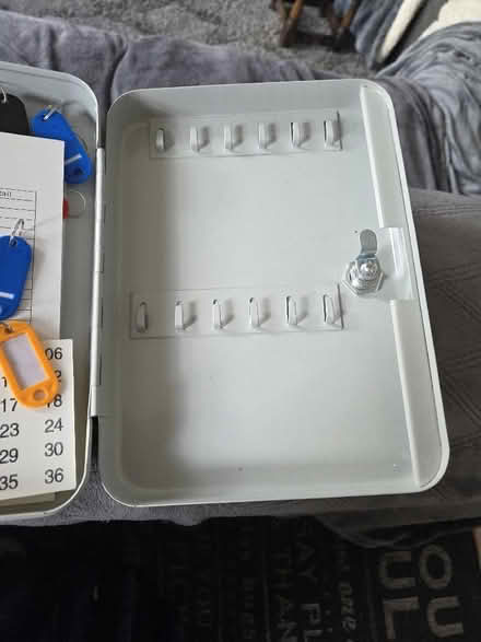 Photo of free Lockable key cabinet (Caterham CR3) #3