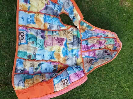 Photo of free Girls gilet (Clanfield PO8) #1