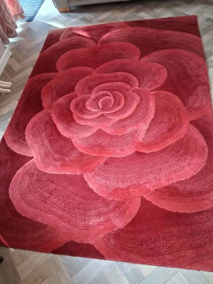 Photo of free Heavy rug (Dinas Powys CF64) #1