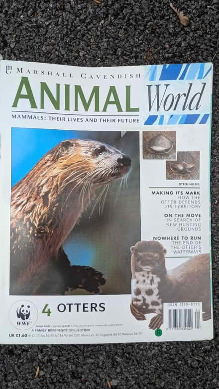 Photo of free Animal World magazines (Farnham, GU9) #1