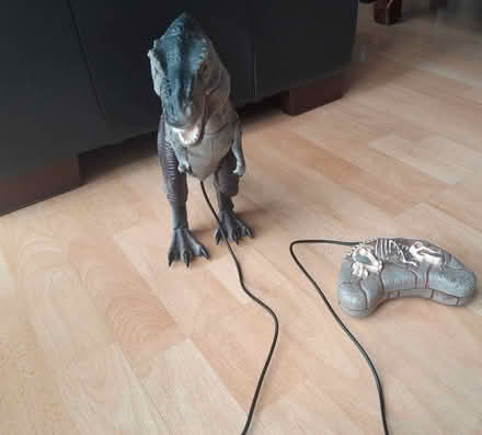 Photo of free Remote Control Toy Dinosaur (Whitley RG2) #1