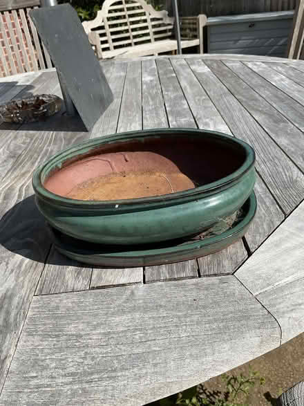 Photo of free Bonsai pots and drip trays (Frant TN3) #1