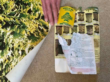 Photo of free Plastic “conifer hedge” covering for wheely bin. (Pannal HG2) #1