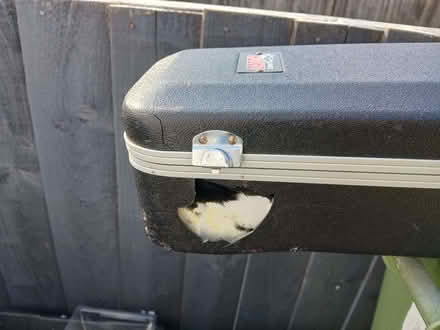 Photo of free Guitar Case (Bovey Tracey TQ13) #3
