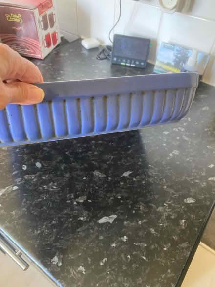 Photo of free Big ceramic dish (SE12 lee) #3