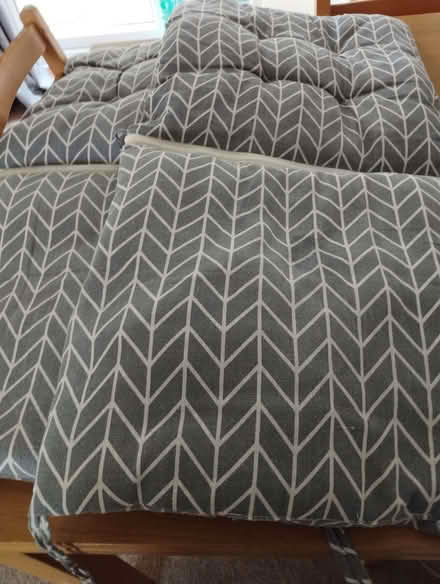 Photo of free 2 X camping chair cushions (Funtley PO15) #1