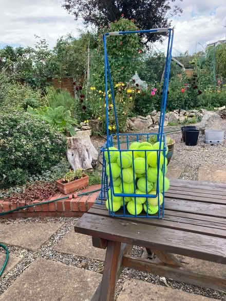 Photo of free tennis balls (Heworth YO31) #1
