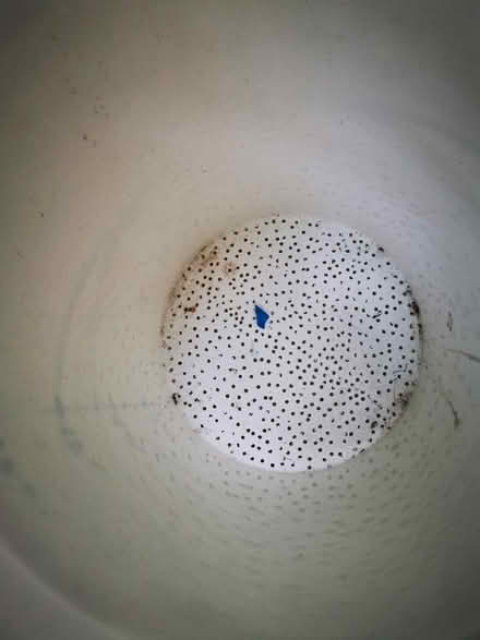 Photo of free Beer/ wine brewing equipment (Catford SE6) #3