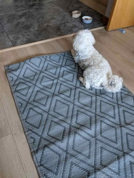 Photo of free Outdoor reversible mat (EH5, Granton, Edinburgh) #1